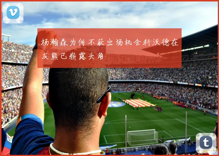 杨瀚森为何不获出场机会科沃德在灰熊已崭露头角